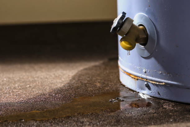 Best Residential water damage restoration  in Homeland, CA