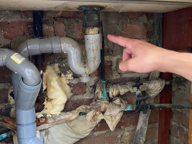 Best Emergency water extraction  in Homeland, CA
